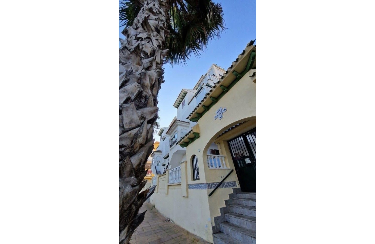 Rynek wtórny - Studio/Kawalerka - Torrevieja - La Mata