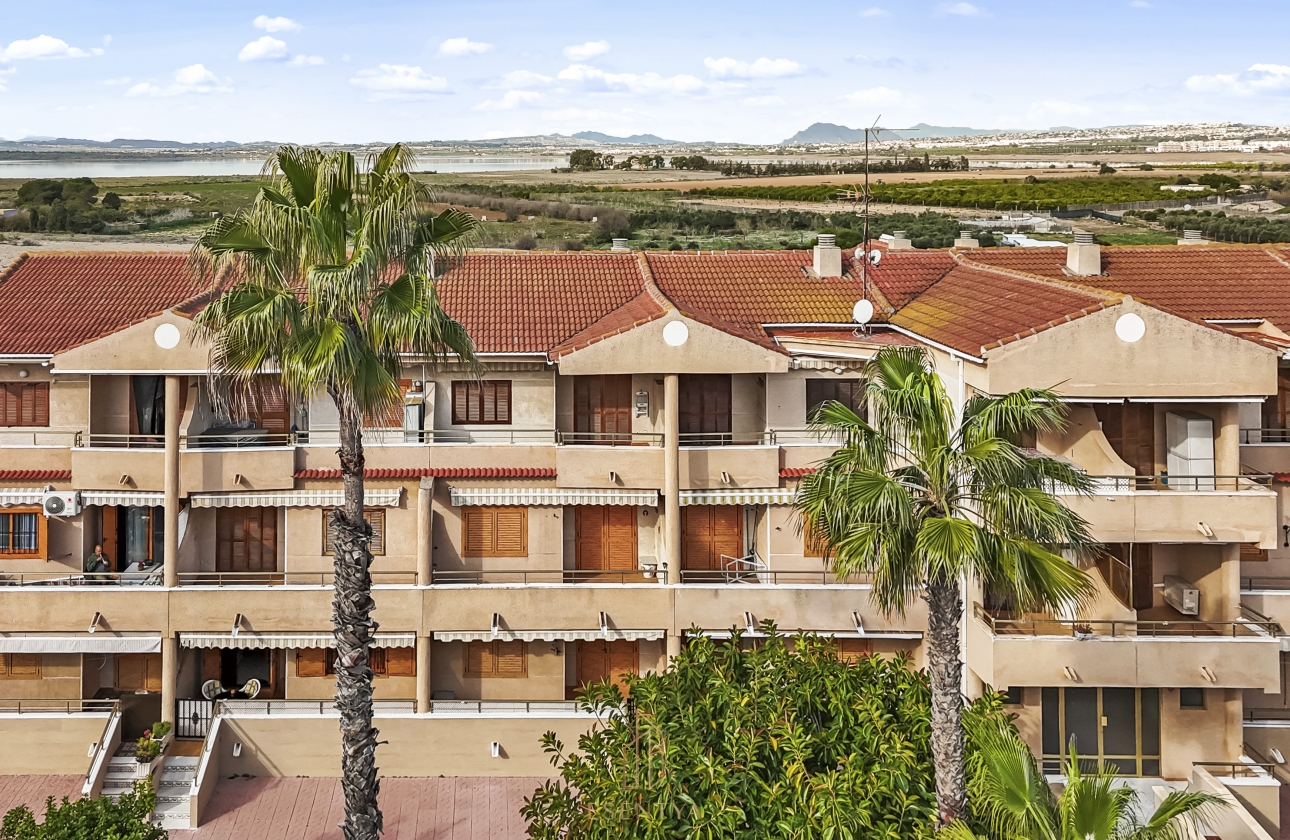 Rynek wtórny - Apartament - Guardamar del Segura - Pinomar