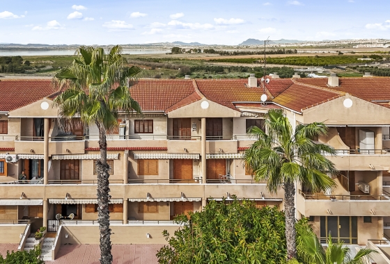 Rynek wtórny - Apartament - Guardamar del Segura - Pinomar