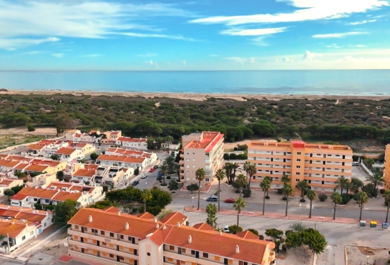 Rynek wtórny - Apartament - Guardamar del Segura - Pinomar