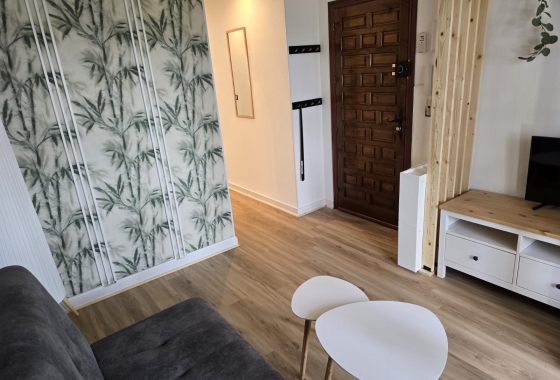 Wynajem długoterminowy - Apartament - Torrevieja - Playa De Los Naufragos