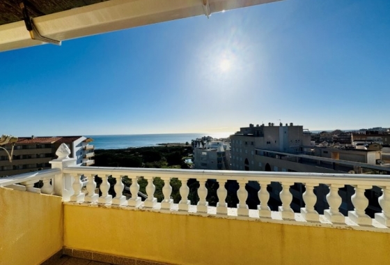 Rynek wtórny - Penthouse - Torrevieja - Alanis