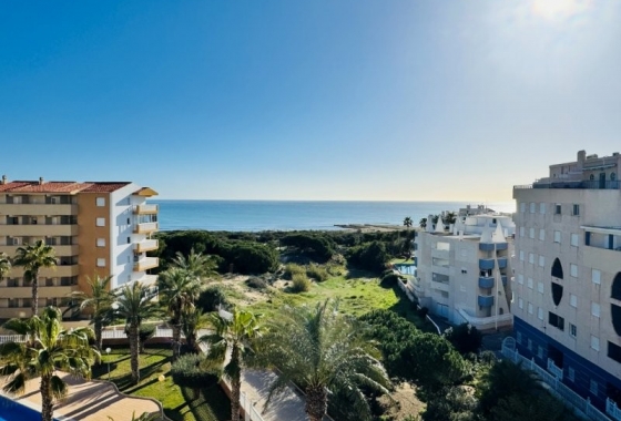 Rynek wtórny - Penthouse - Torrevieja - Alanis