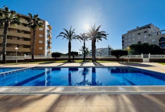 Rynek wtórny - Penthouse - Torrevieja - Alanis