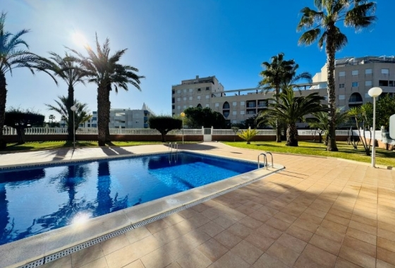 Rynek wtórny - Penthouse - Torrevieja - Alanis