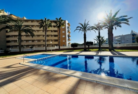 Rynek wtórny - Penthouse - Torrevieja - Alanis