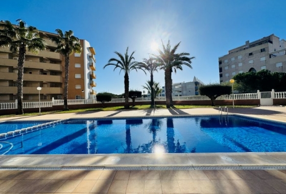 Rynek wtórny - Penthouse - Torrevieja - Alanis