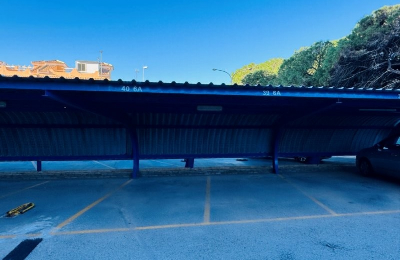 Rynek wtórny - Penthouse - Torrevieja - Alanis