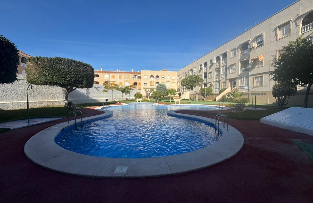 Rynek wtórny - Apartament - Torrevieja - Acequion