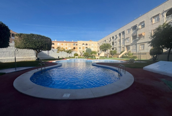 Rynek wtórny - Apartament - Torrevieja - Acequion