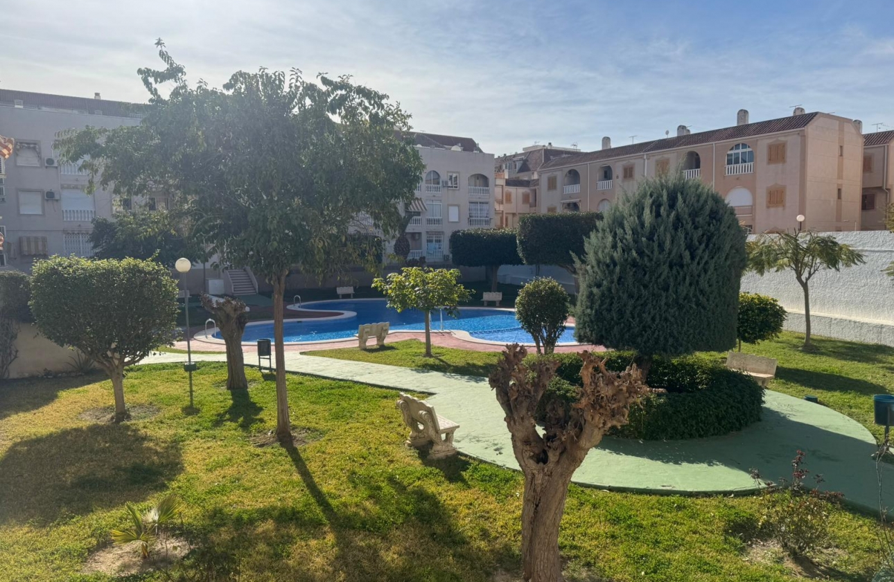 Rynek wtórny - Apartament - Torrevieja - Acequion