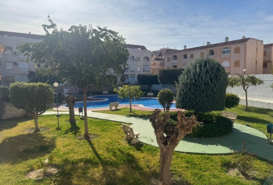 Rynek wtórny - Apartament - Torrevieja - Acequion