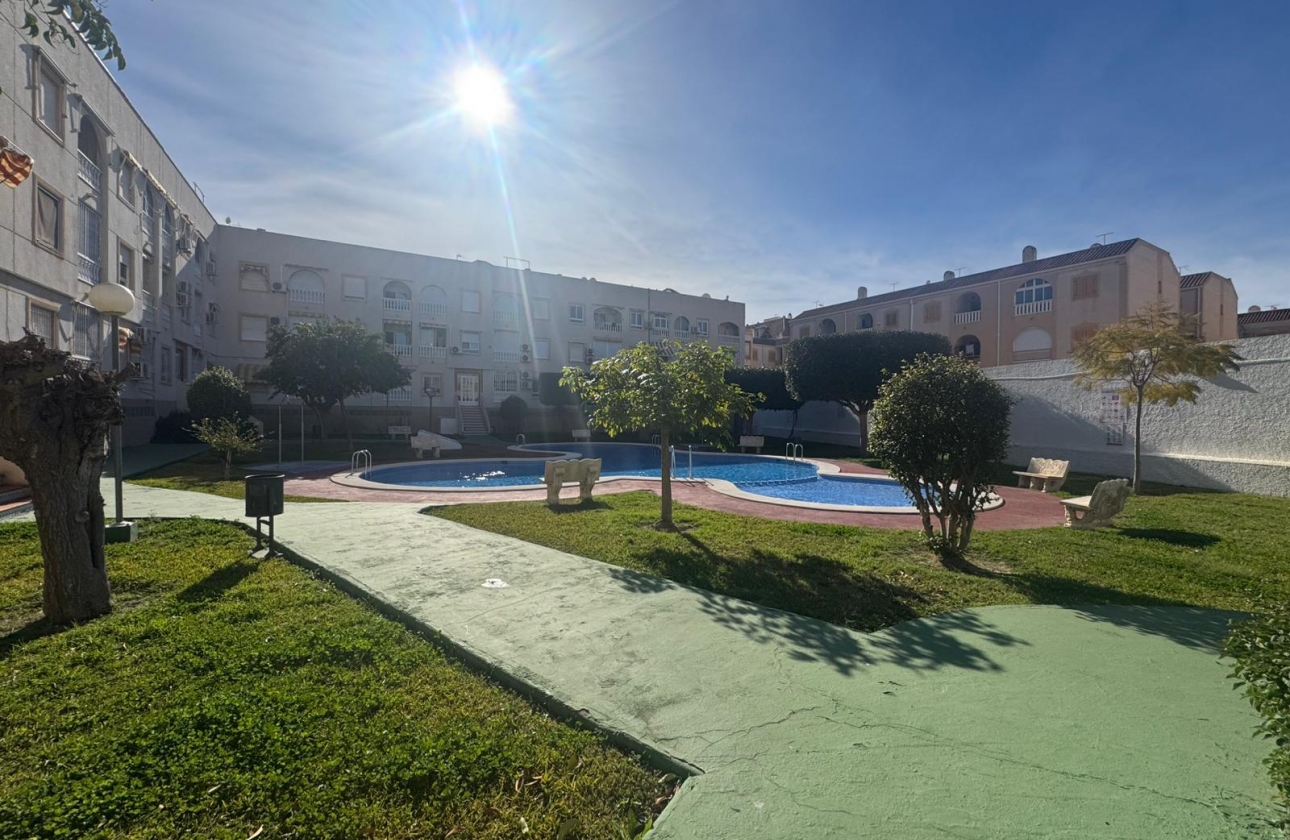 Rynek wtórny - Apartament - Torrevieja - Acequion