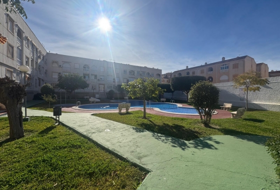 Rynek wtórny - Apartament - Torrevieja - Acequion
