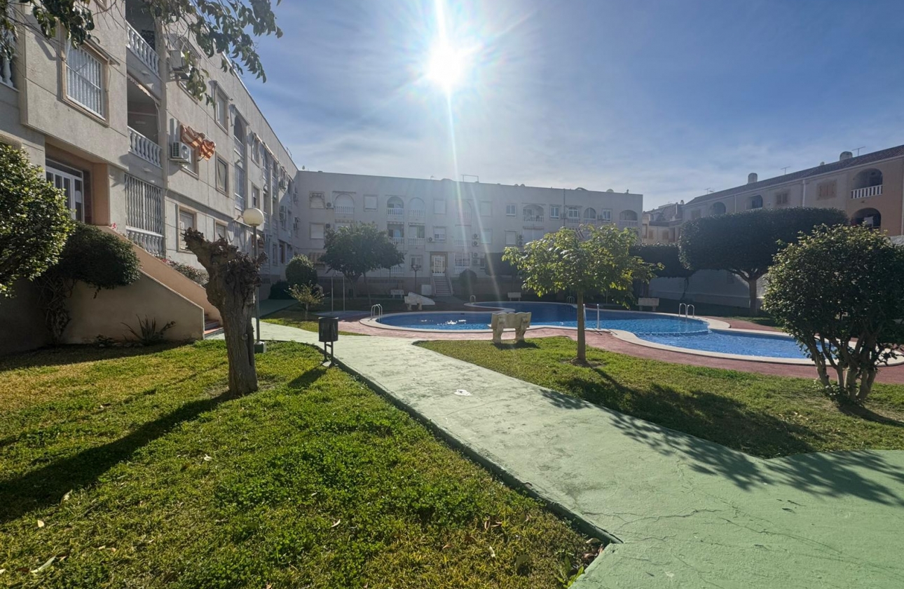 Rynek wtórny - Apartament - Torrevieja - Acequion