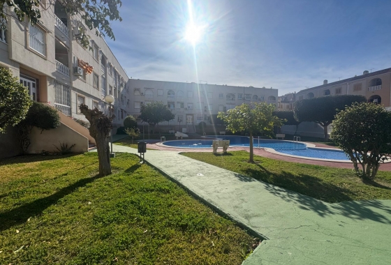 Rynek wtórny - Apartament - Torrevieja - Acequion