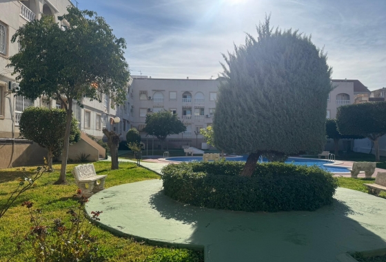 Rynek wtórny - Apartament - Torrevieja - Acequion