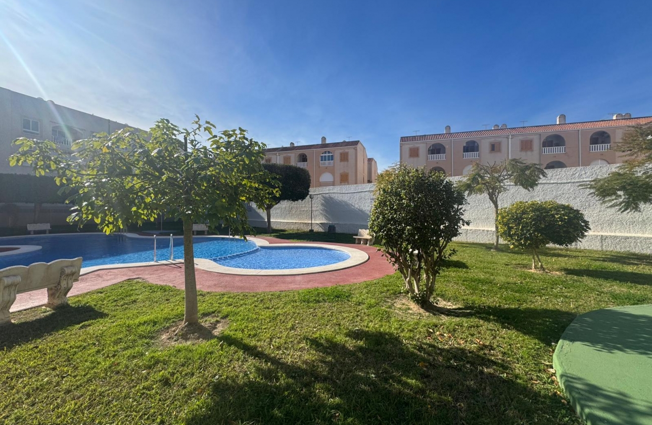 Rynek wtórny - Apartament - Torrevieja - Acequion