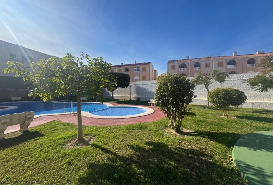 Rynek wtórny - Apartament - Torrevieja - Acequion