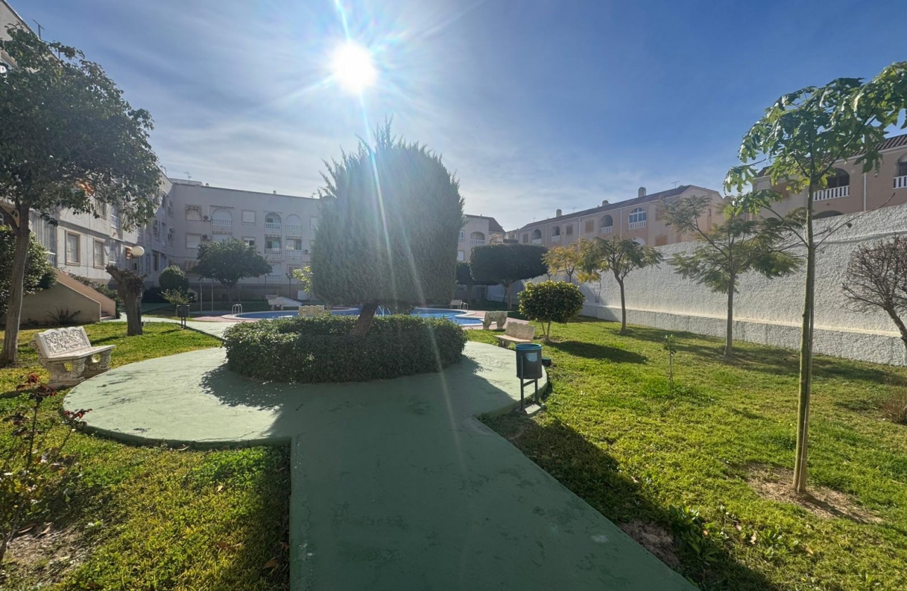 Rynek wtórny - Apartament - Torrevieja - Acequion