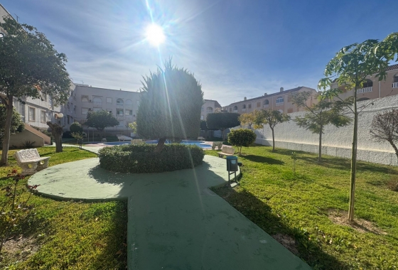 Rynek wtórny - Apartament - Torrevieja - Acequion