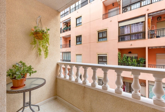 Reventa - Apartment - Torrevieja - Centro