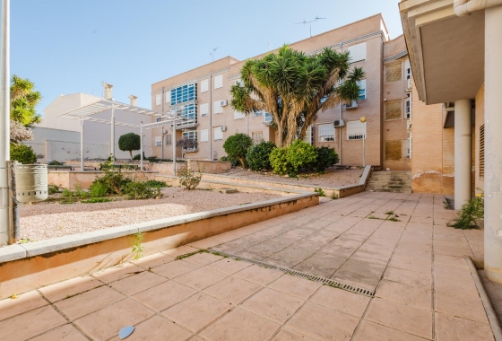 Reventa - Apartment - San Miguel de Salinas