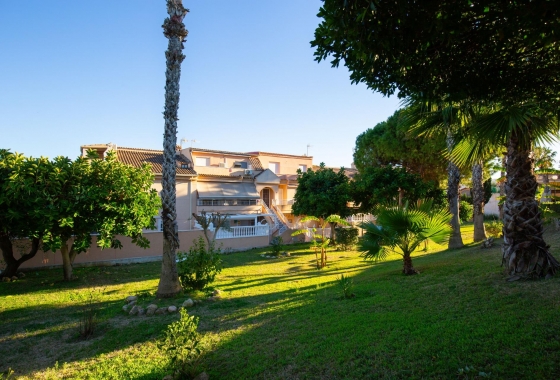 Rynek wtórny - Apartament - Torrevieja - Torreblanca