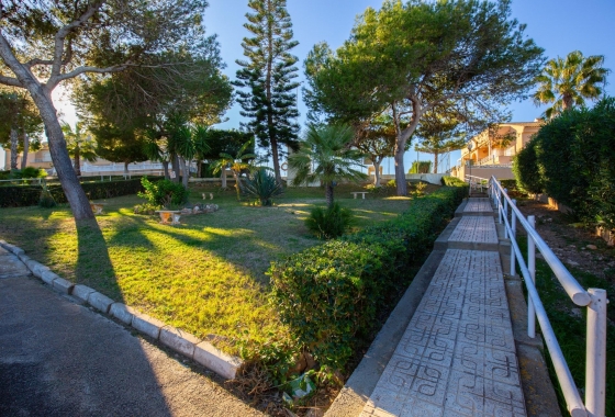 Rynek wtórny - Apartament - Torrevieja - Torreblanca