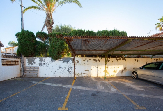 Rynek wtórny - Apartament - Torrevieja - Torreblanca