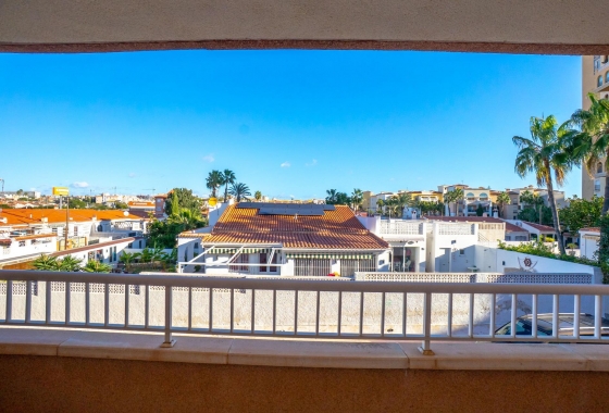 Rynek wtórny - Apartament - Torrevieja - Playa de los Locos