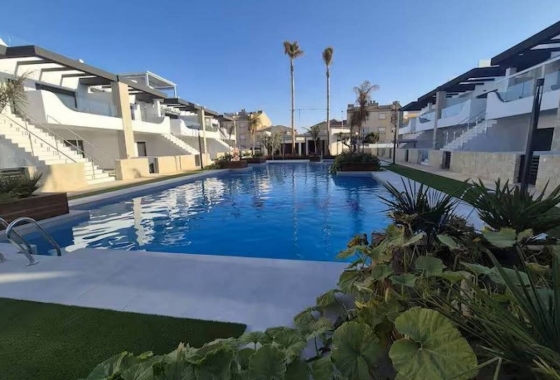 Rynek pierwotny - Szeregowiec - Torrevieja - Punta Prima