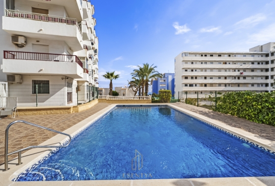 Rynek wtórny - Penthouse - Torrevieja - Torreblanca