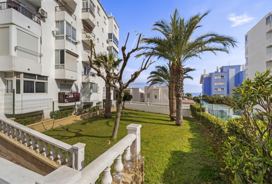 Rynek wtórny - Penthouse - Torrevieja - Torreblanca