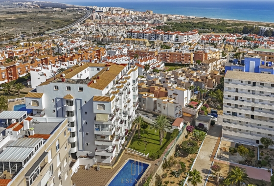 Rynek wtórny - Penthouse - Torrevieja - Torreblanca