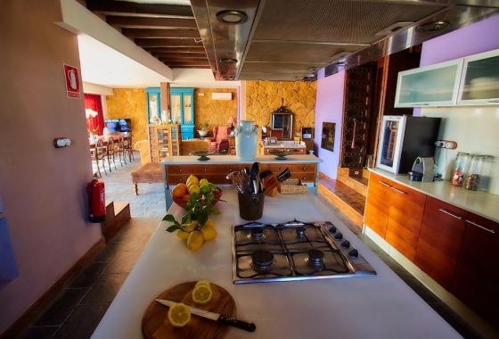 Rynek wtórny - Wiejska posiadłość - Orihuela - Torremendo