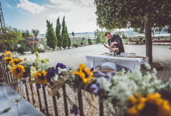 Rynek wtórny - Wiejska posiadłość - Orihuela - Torremendo