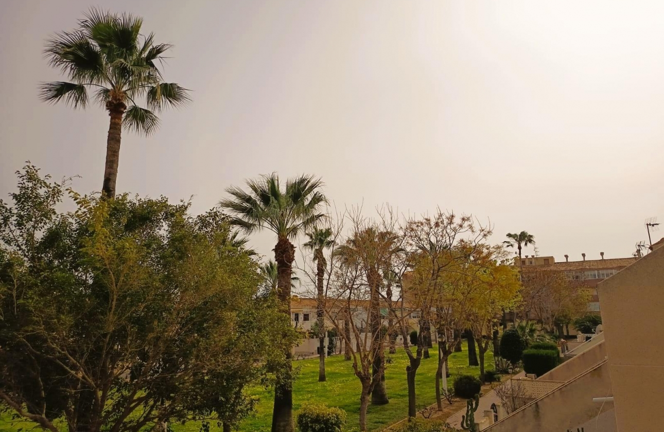 Rynek wtórny - Apartament - Orihuela Costa - La Regia