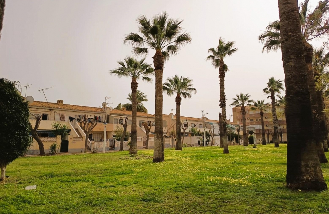 Rynek wtórny - Apartament - Orihuela Costa - La Regia