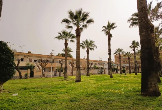 Rynek wtórny - Apartament - Orihuela Costa - La Regia