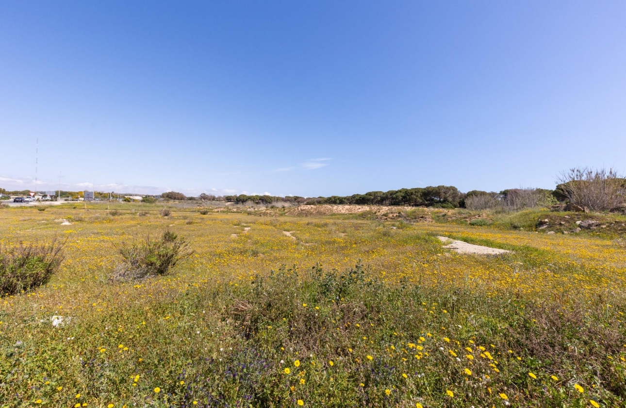 Rynek wtórny - Bungalow - Guardamar del Segura - Urbanizaciones