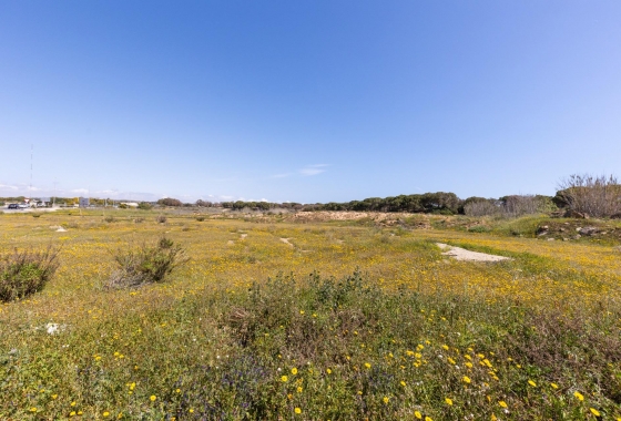 Rynek wtórny - Bungalow - Guardamar del Segura - Urbanizaciones
