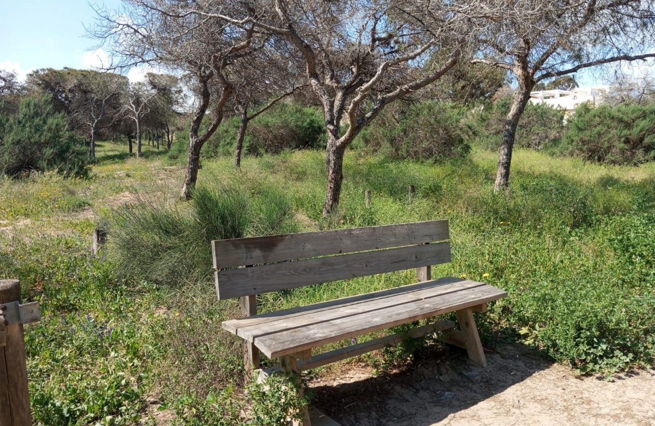 Rynek wtórny - Bungalow - Guardamar del Segura - Urbanizaciones