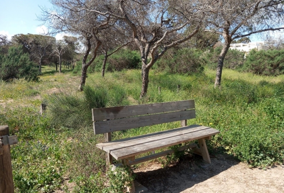 Rynek wtórny - Bungalow - Guardamar del Segura - Urbanizaciones