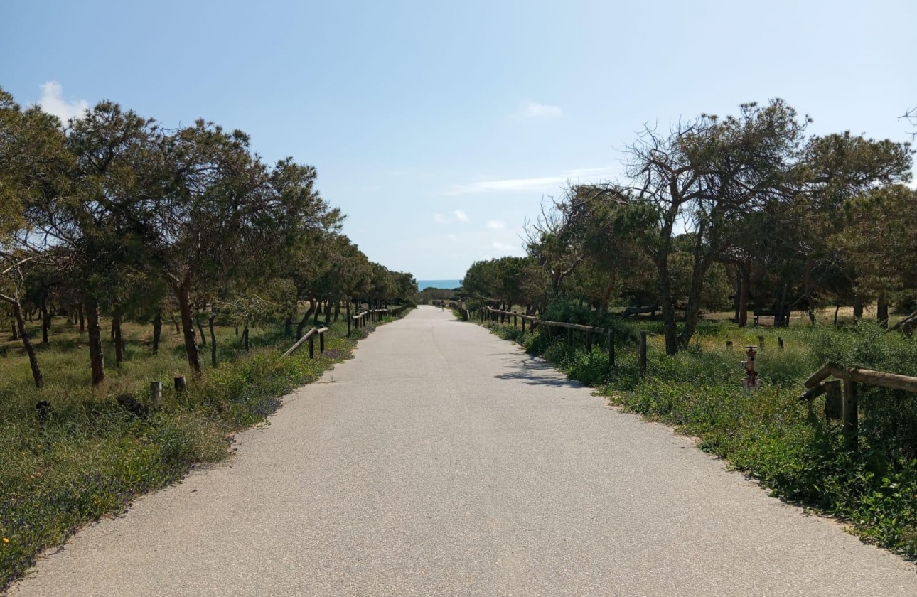 Rynek wtórny - Bungalow - Guardamar del Segura - Urbanizaciones