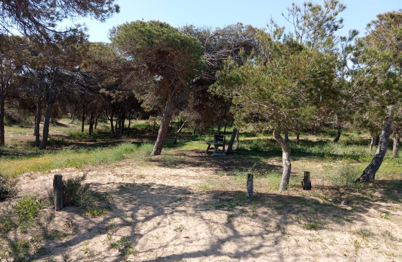 Rynek wtórny - Bungalow - Guardamar del Segura - Urbanizaciones