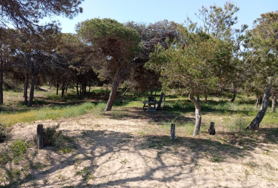 Rynek wtórny - Bungalow - Guardamar del Segura - Urbanizaciones