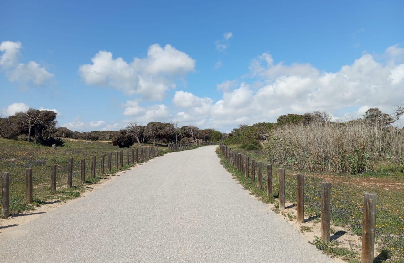 Rynek wtórny - Bungalow - Guardamar del Segura - Urbanizaciones