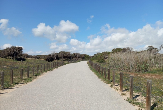 Rynek wtórny - Bungalow - Guardamar del Segura - Urbanizaciones
