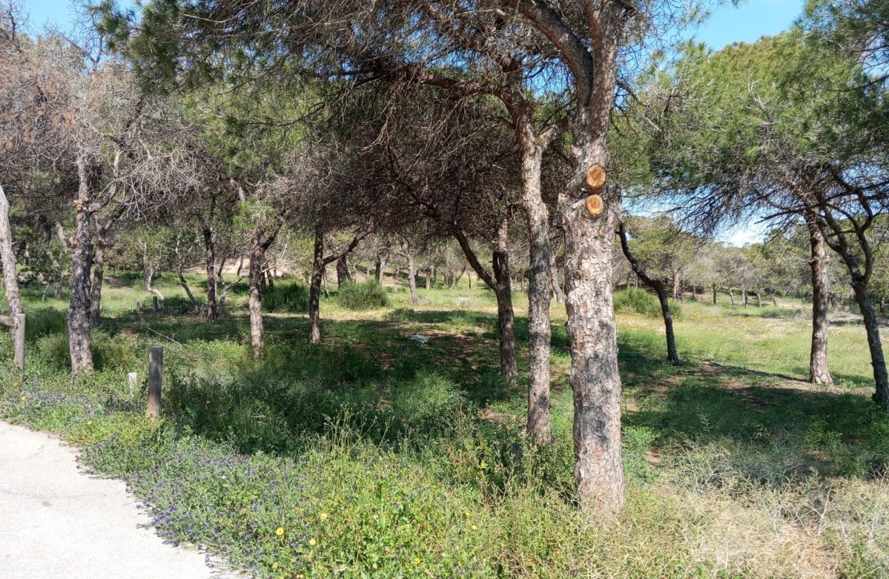 Rynek wtórny - Bungalow - Guardamar del Segura - Urbanizaciones